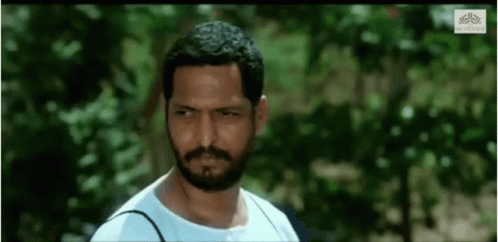 Nana 498 X 242 Gif GIF