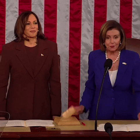 Nancy Pelosi And Kamala Harris GIF