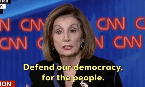 Nancy Pelosi Defend Our Democracy For The People GIF
