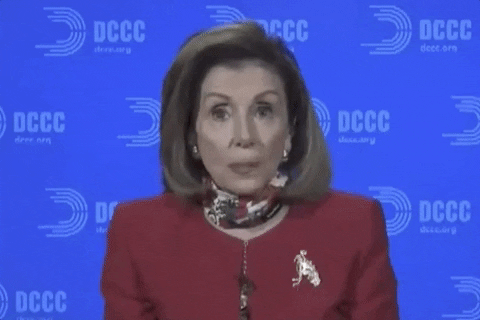 Nancy Pelosi Three Important Issues GIF