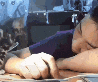 Nap Sleepy Cat On Kid Arm GIF