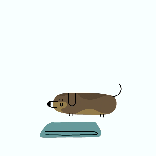 Nap Sleepy Sausage Dog GIF