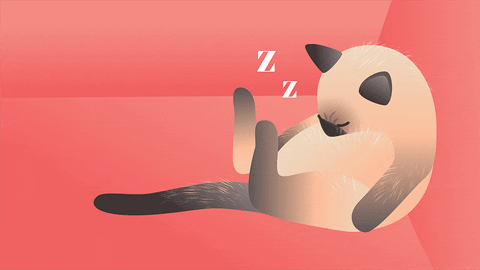 Nap Snoring Cat Sticker GIF