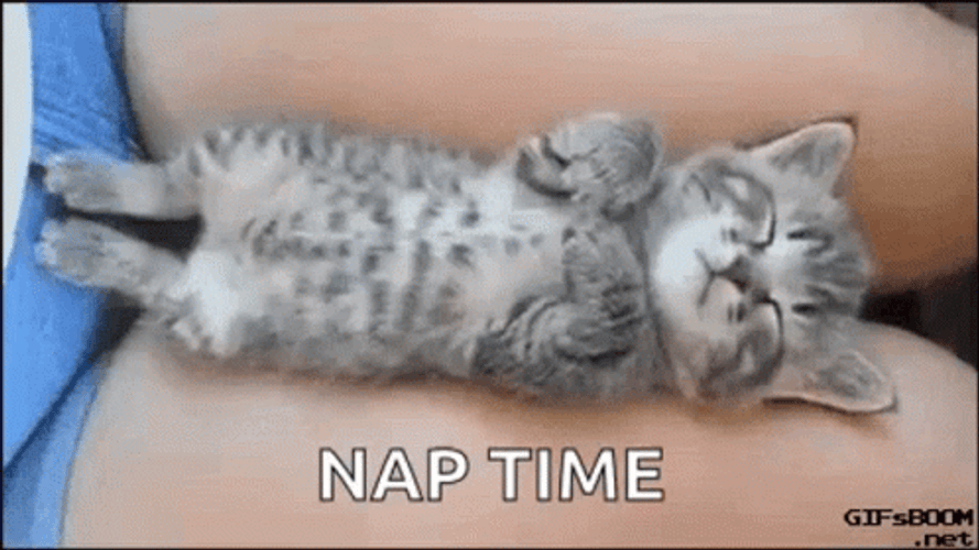 Nap Time GIF