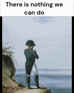 Napoleon Standing On A Cliff Overlooking The Ocean With The Words There Is Nothing We Can Do GIF