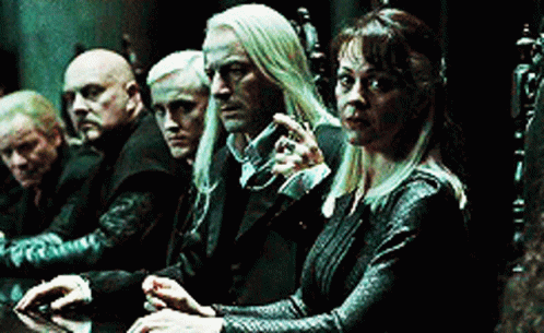 Narcissa Malfoy Staring Into Someone GIF