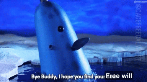 Narwhal Says Bye Buddy Hopes Free Will GIF