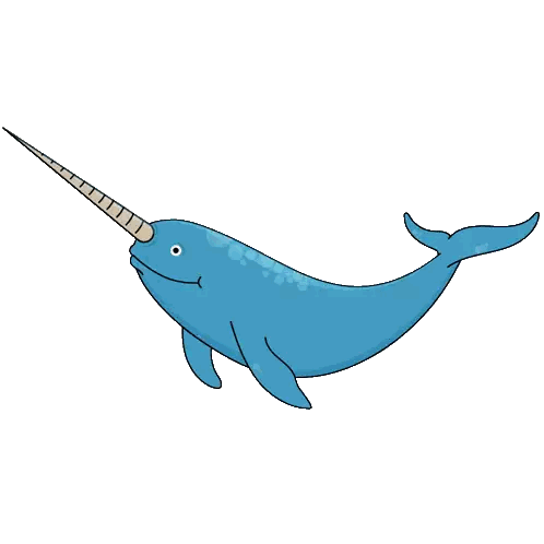 Narwhal With Long Horn