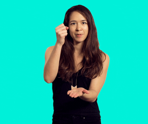 Nat Vegel Rock Paper Scissors Middle Finger GIF