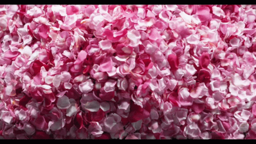 Natalie Portman Dior GIF