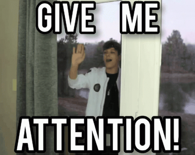 Nathan Triska Give Me Attention GIF