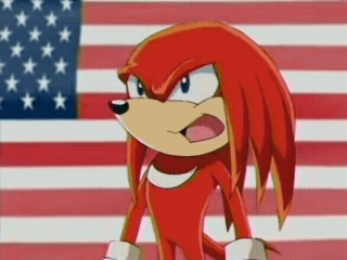 National Anthem Knuckles Standing Straight GIF