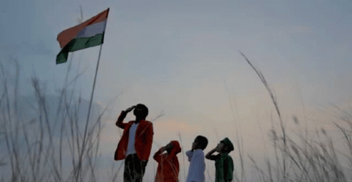 National Anthem Salute To The Flag GIF
