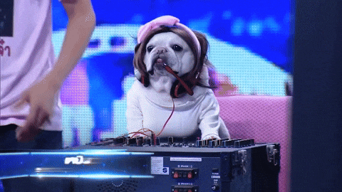 National Dog Day Disc Jockey Dog GIF
