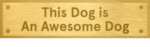 National Dog Day Dog Is Awesome GIF