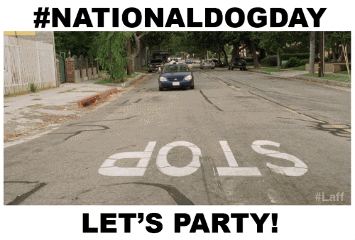 National Dog Day Let's Party GIF