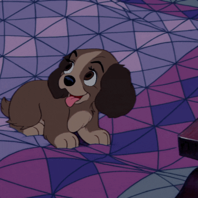 National Dog Day Puppy Wrapped In Blanket GIF