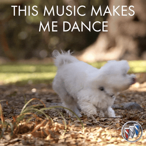 National Dog Day White Dog Chasing Tail GIF