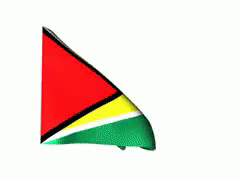 National Flag Of Guyana GIF