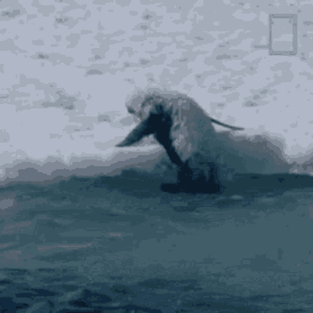 National Geographic Gif GIF