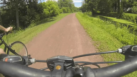 Nature Biking Experience GIF