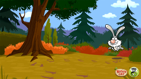 Nature Cat Daisy The Bunny Hopping GIF