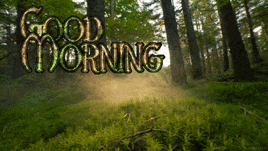 Nature Good Morning Foggy Forest GIF
