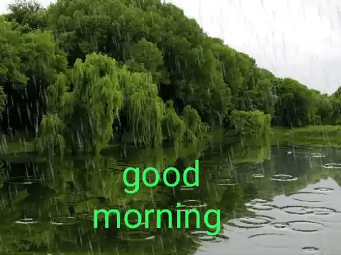 Nature Good Morning