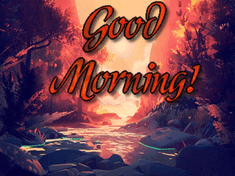 Nature Good Morning Red Forest GIF