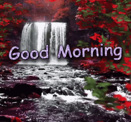 Nature Good Morning Red Garden GIF
