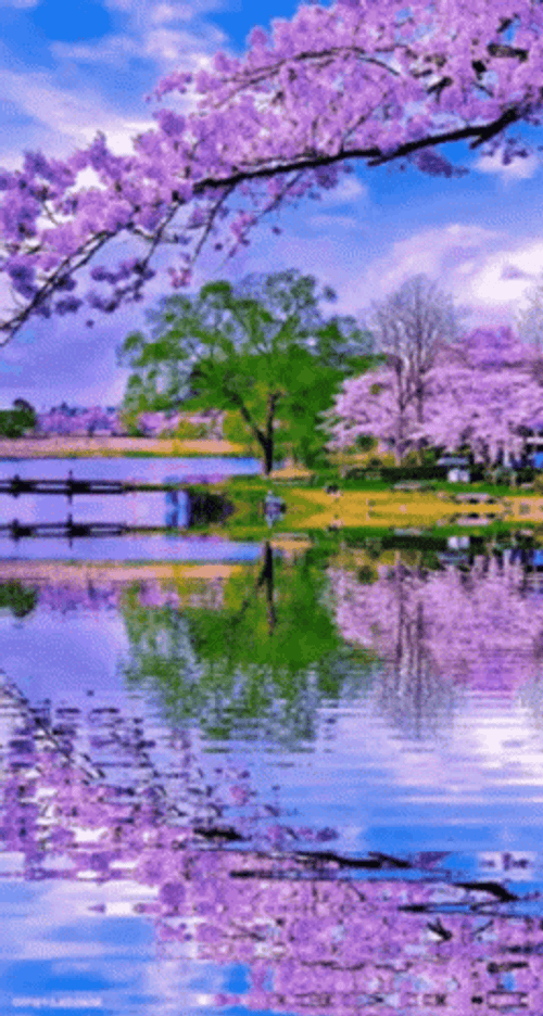 Nature's Lake In Purple Trees GIF