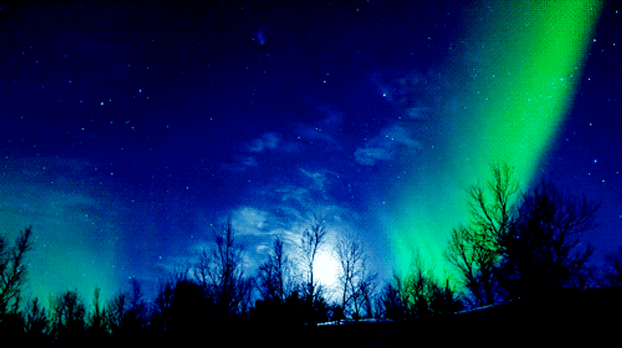 Nature's Northern Lights GIF