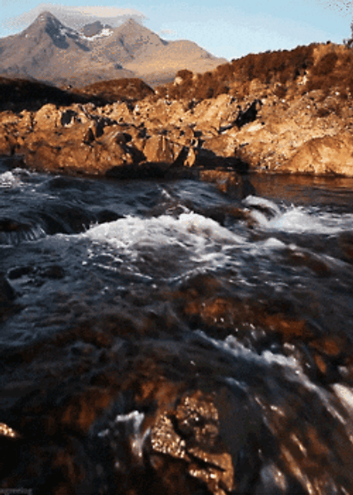 Nature's River Stream GIF