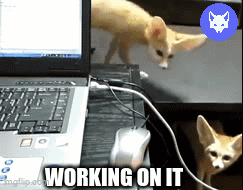 Naughty Fennec Foxes Working On It GIF