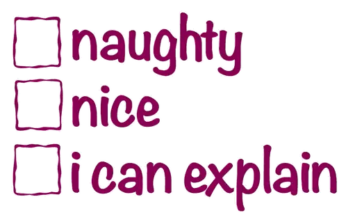 Naughty Nice Checklist Checked