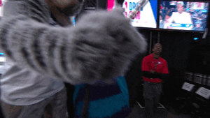 Nba Draft Tiger Mascot Selfie GIF
