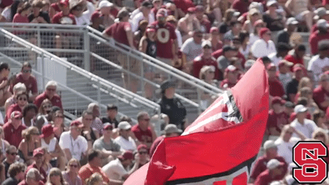 Nc State Flag Being Waved GIF