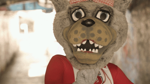Nc State Mascot Dancing Both Hands Up GIF