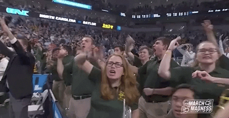 Ncaa Baylor University Bear Fans Down Celebrating GIF