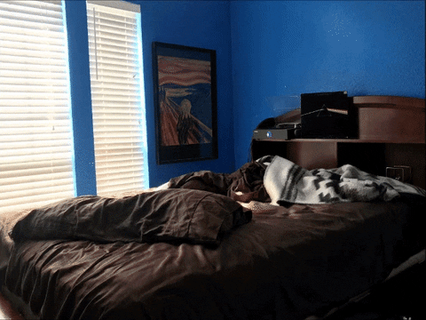Neat Bedroom Ready For Tuck In GIF