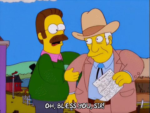 Ned Flanders Bless You Sir GIF