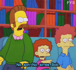 Ned Flanders No Son No Siree Bob GIF