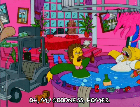 Ned Flanders Oh My Goodness Homer GIF