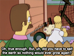 Ned Flanders Oh True Enough GIF