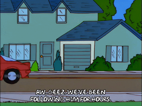 Ned Flanders We've Been Following Him For Hours GIF