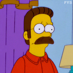 Ned Flanders Who Am I Kidding GIF