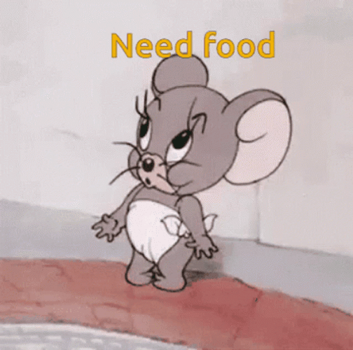 Need Food Jerry Feed Me GIF