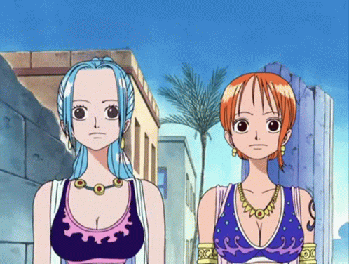 Nefertari Vivi And Nami One Piece Anime GIF