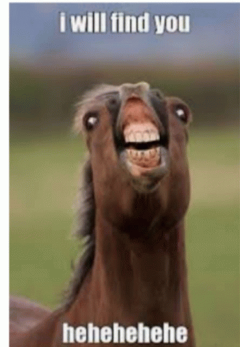 Neigh I Will Find You GIF