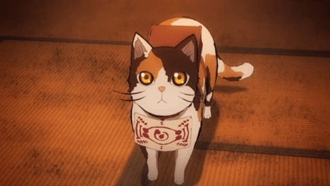 Neko Looking Up GIF